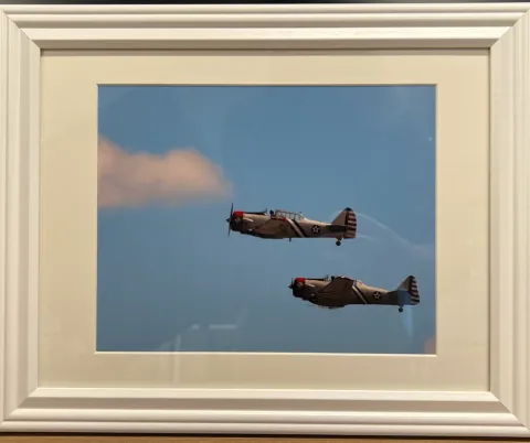 Art Competition Winner #2